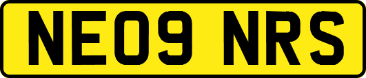 NE09NRS