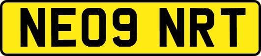 NE09NRT
