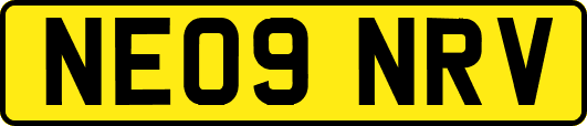 NE09NRV