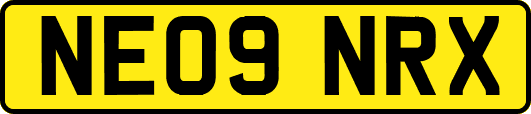 NE09NRX