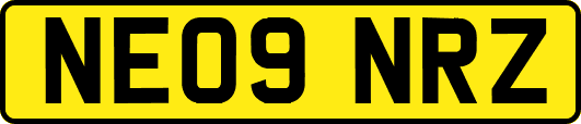NE09NRZ
