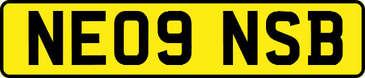 NE09NSB