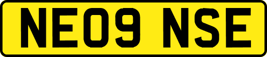 NE09NSE