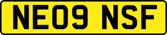 NE09NSF