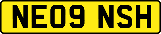 NE09NSH