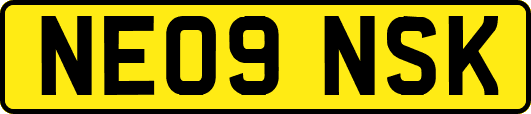 NE09NSK