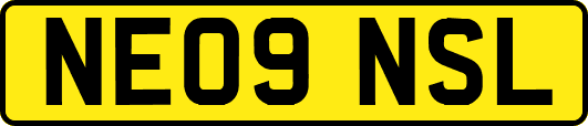 NE09NSL
