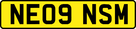 NE09NSM