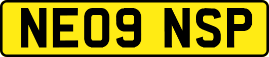 NE09NSP