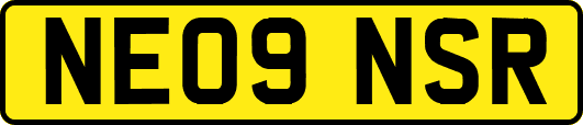 NE09NSR