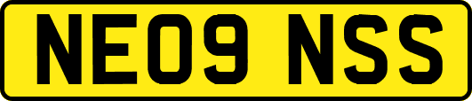 NE09NSS