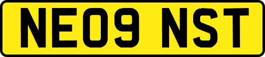 NE09NST