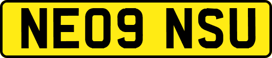 NE09NSU