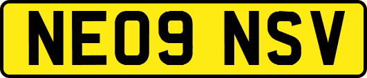 NE09NSV