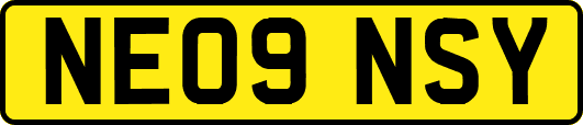 NE09NSY