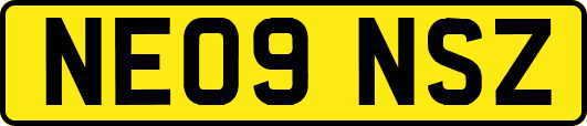 NE09NSZ