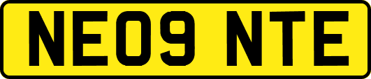 NE09NTE