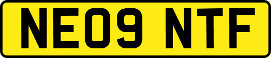 NE09NTF