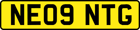NE09NTG