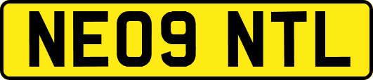 NE09NTL