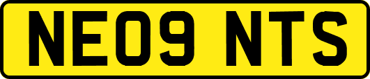 NE09NTS