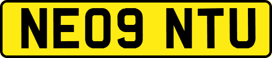 NE09NTU