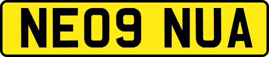 NE09NUA