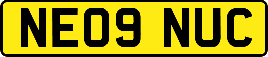 NE09NUC
