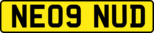 NE09NUD