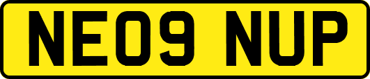 NE09NUP