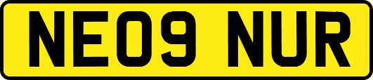NE09NUR