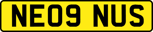 NE09NUS