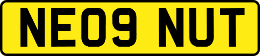 NE09NUT