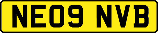 NE09NVB