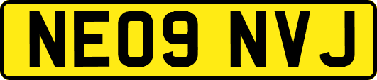 NE09NVJ