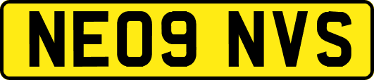 NE09NVS