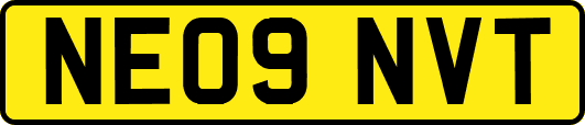 NE09NVT