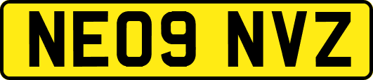 NE09NVZ