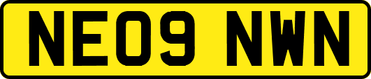 NE09NWN