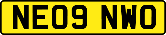NE09NWO