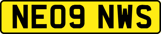 NE09NWS