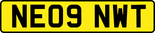 NE09NWT
