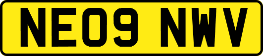 NE09NWV