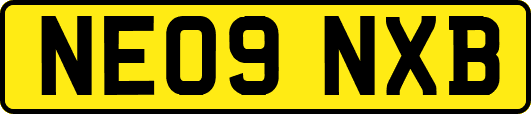 NE09NXB