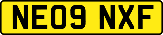 NE09NXF