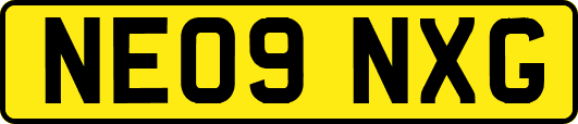 NE09NXG