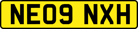 NE09NXH