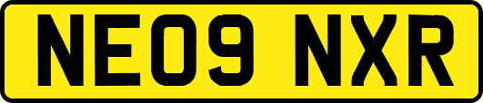 NE09NXR