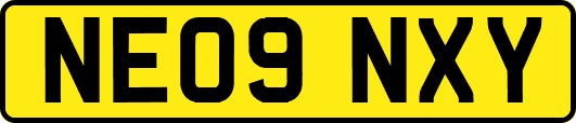 NE09NXY