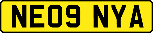 NE09NYA